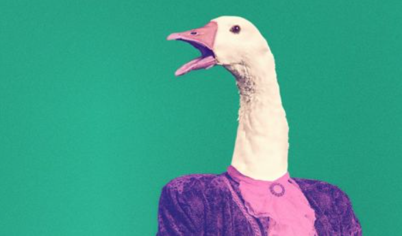 A kairói lúd, avagy A rászedett vőlegény